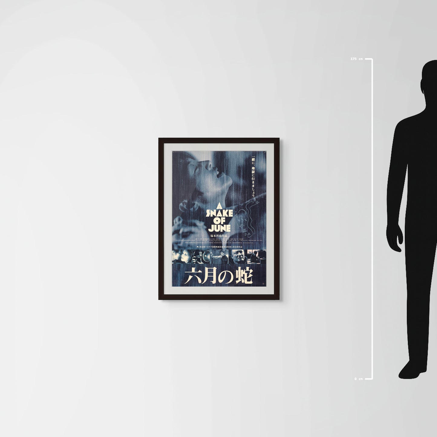 A Snake of June (Original Japanese Release, 2002, B2, 51x73cm)