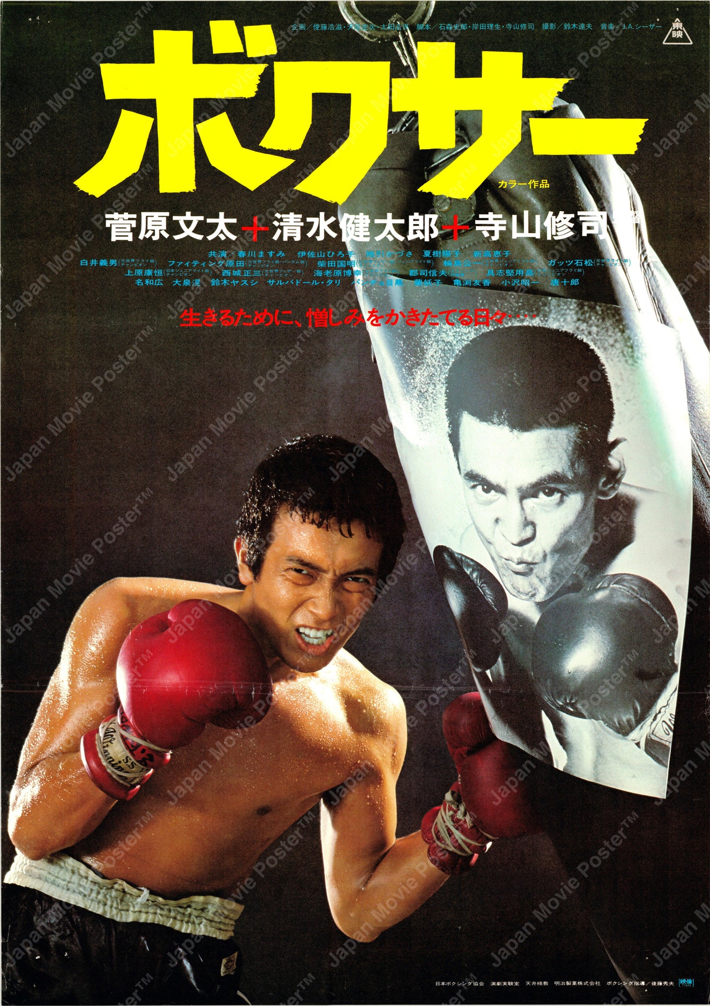 Boxer (Original Japanese release 1977 B2 51x73cm) Vintage posters