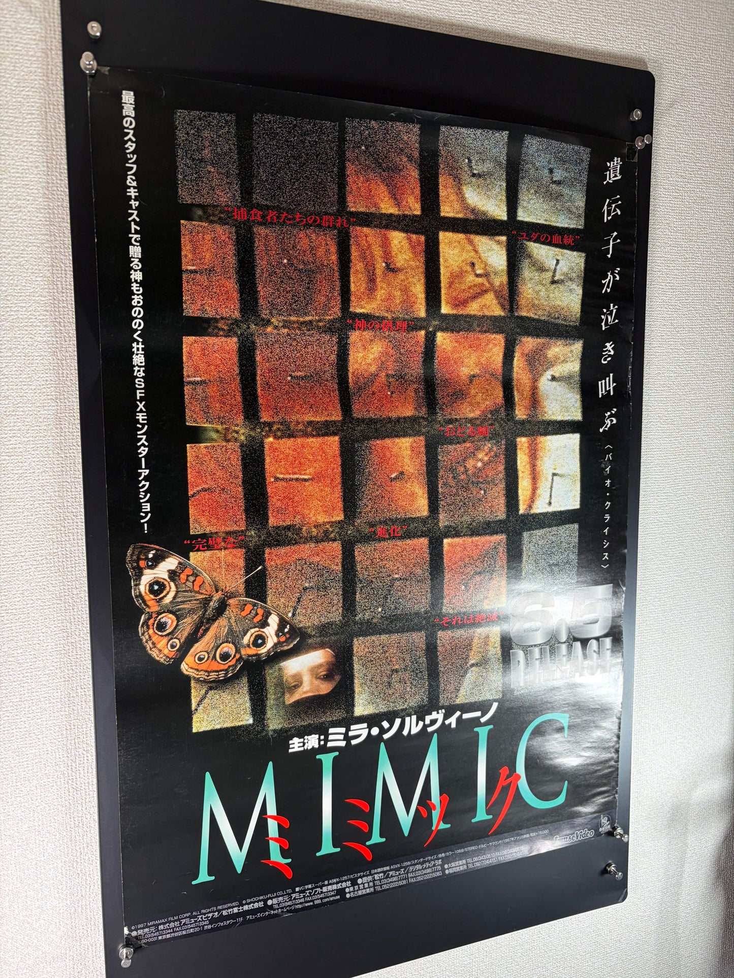 Mimic (1997) Original Japanese B2 Poster - Condition detail 7