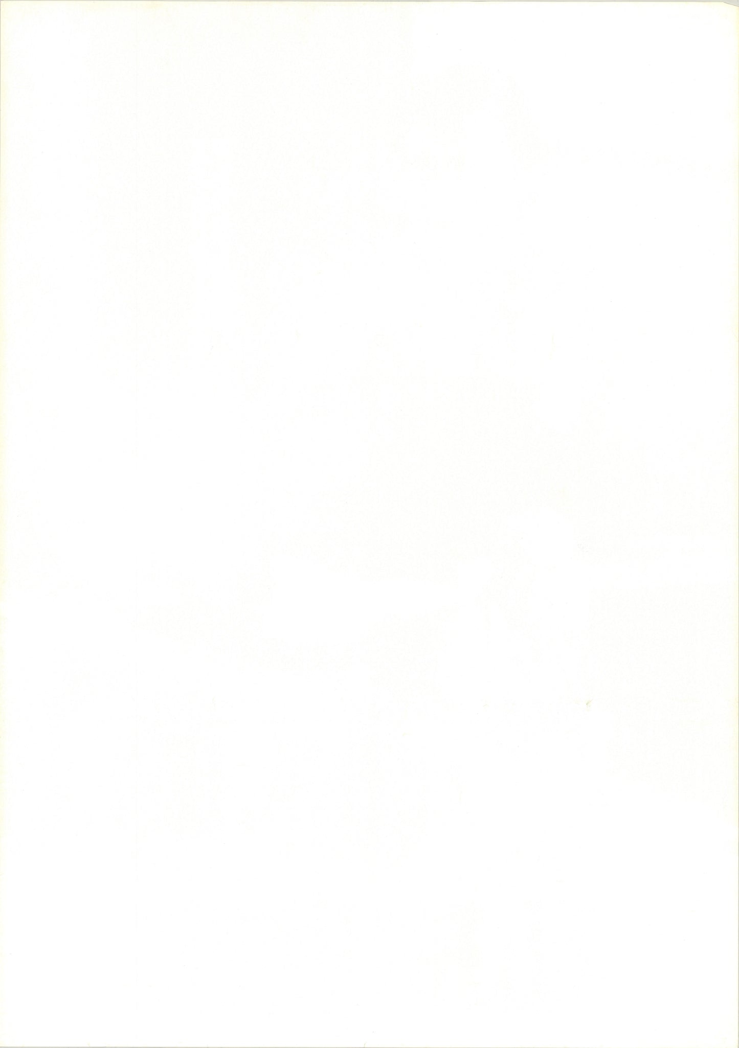 Let Sleeping Cops Lie (Original Japanese release, 1988, B2, 51x73cm)