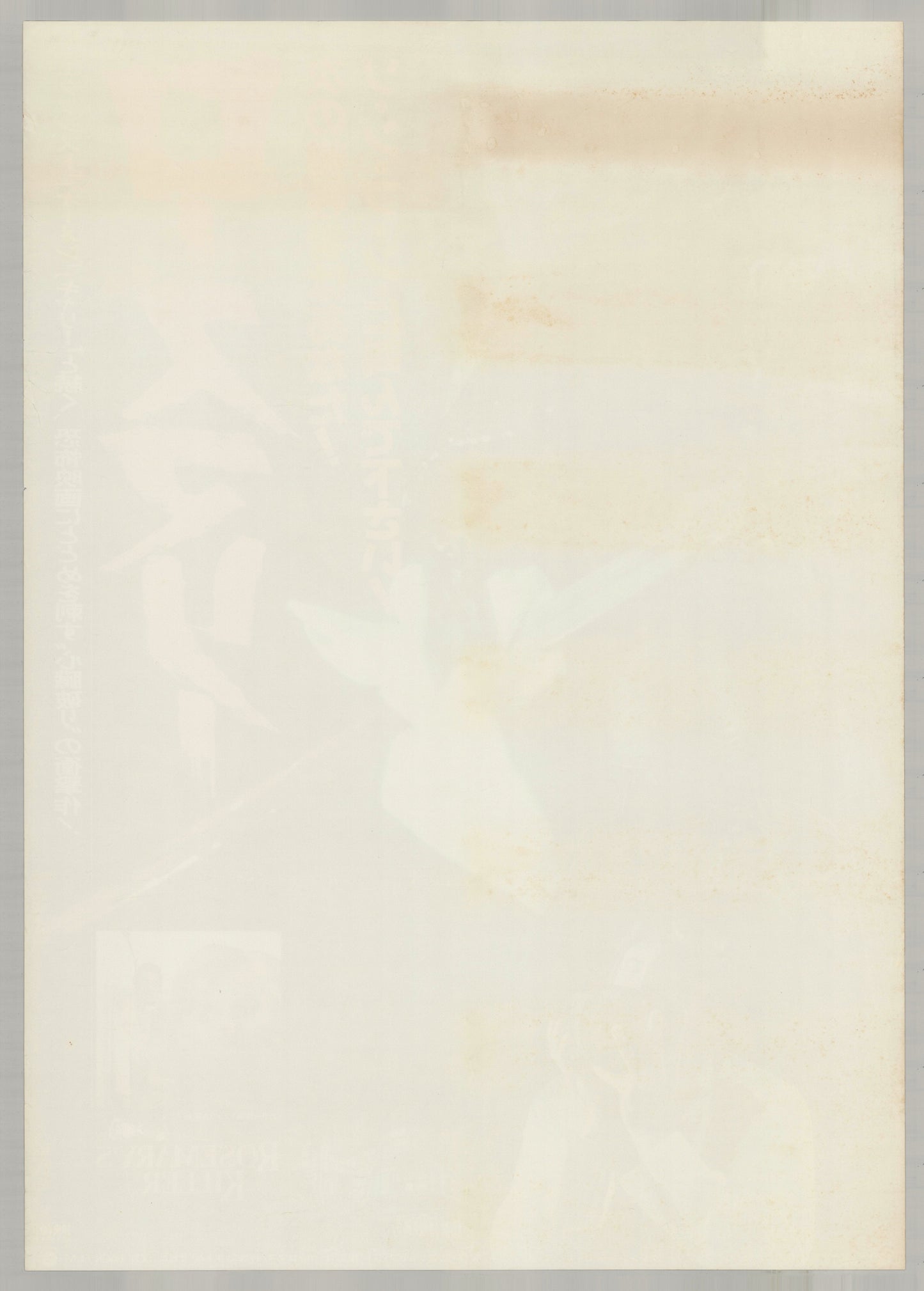 Rosemary's Killer (1983) - Back