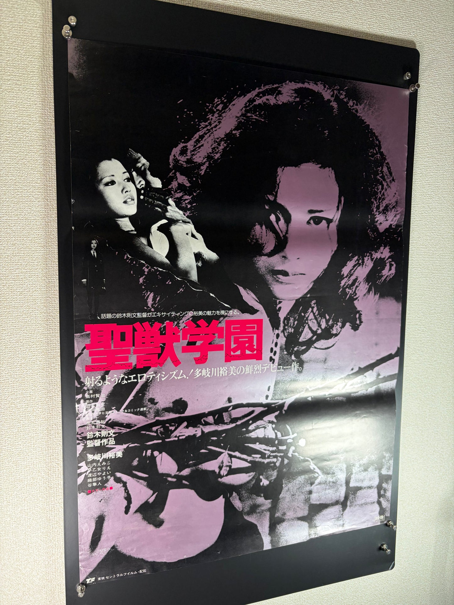 School of the Holy Beast (1974) Original Japanese B2 Poster - 1980 Re-release - Condition detail 8
