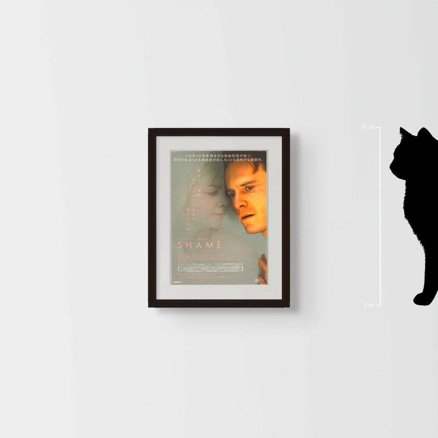 Shame (Original Japanese release 2012 B5 18x25cm) Vintage posters