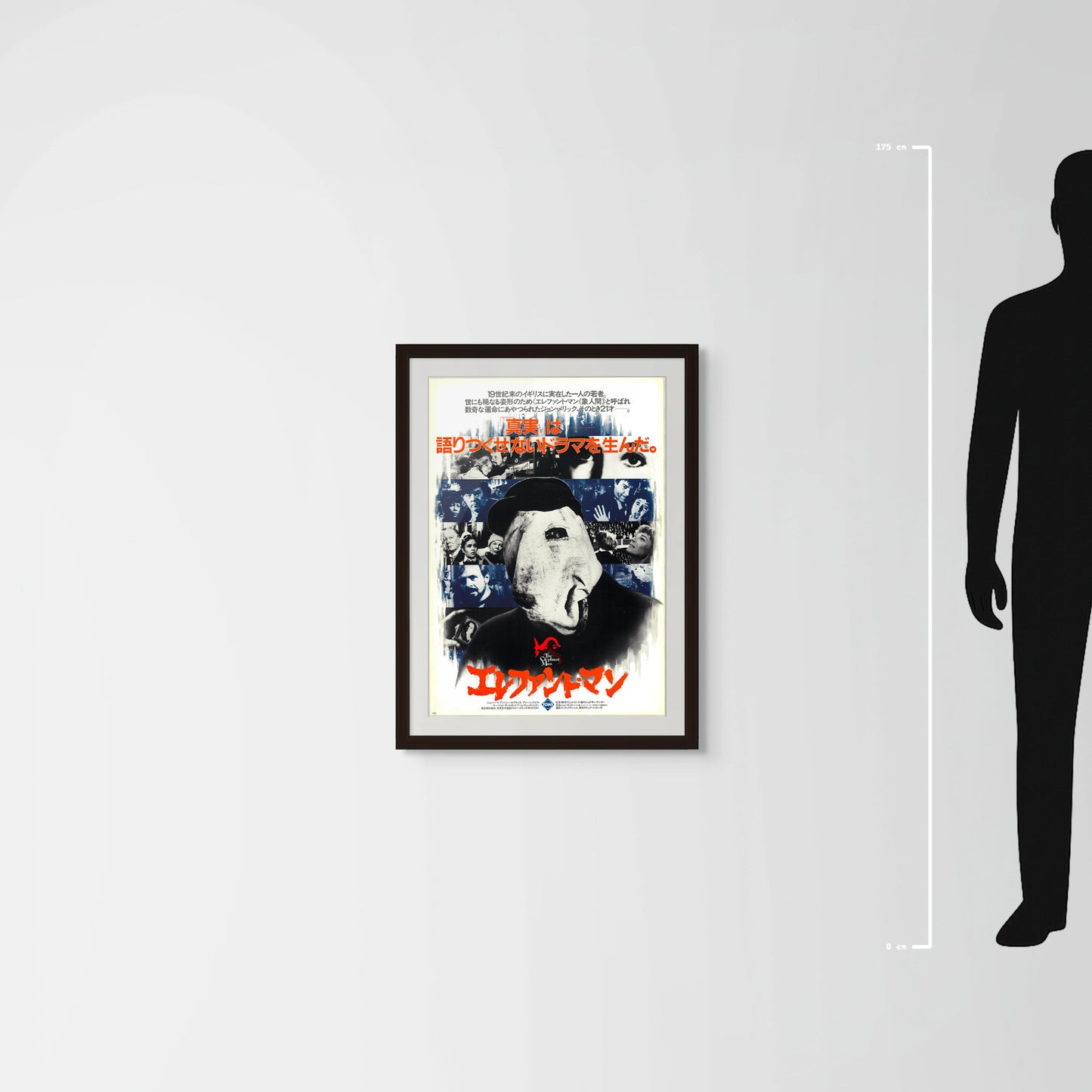 The Elephant Man (Original Japanese Release 1981 B2 51x73cm) Vintage posters