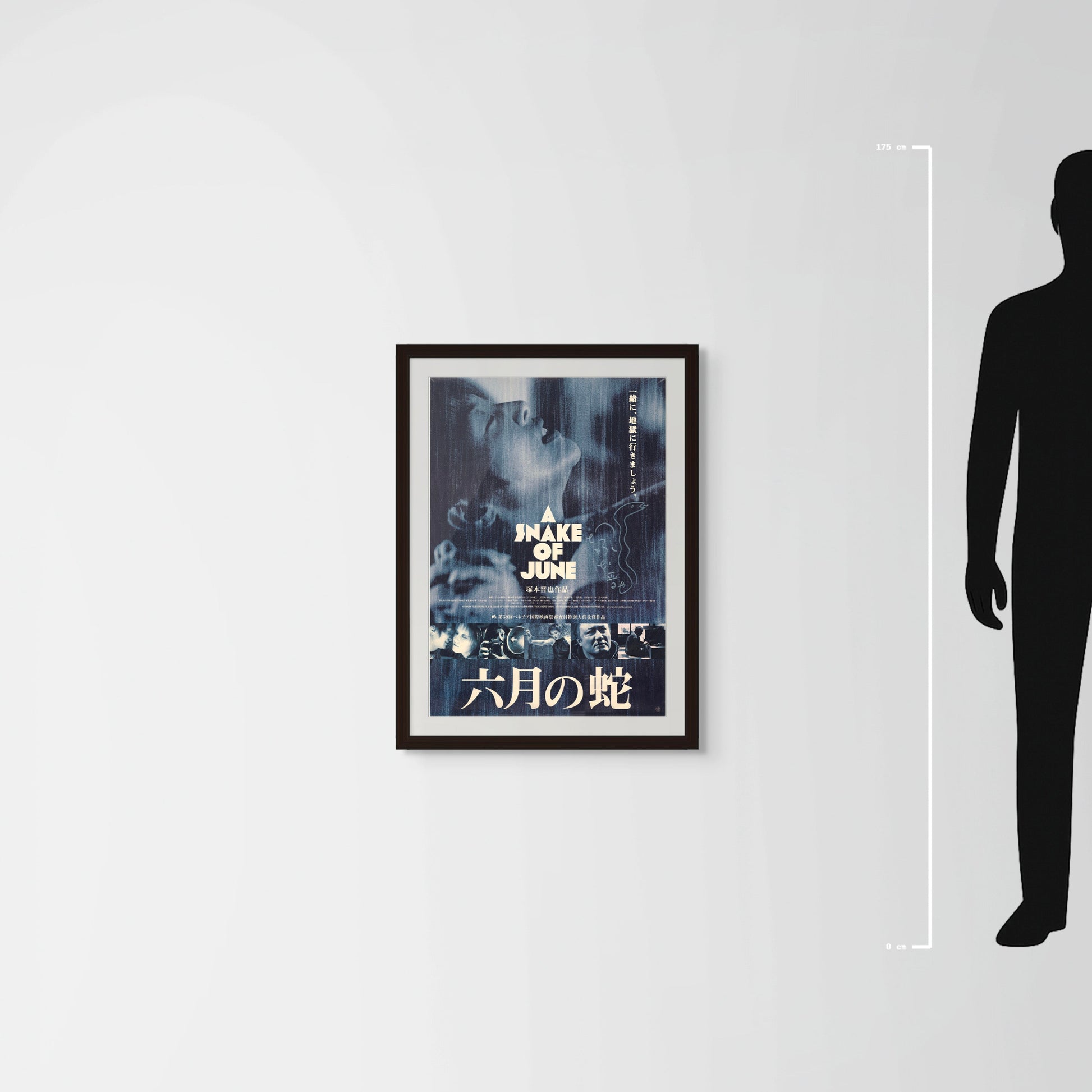 A Snake of June (Original Japanese Release 2002 B2 51x73cm) Vintage posters