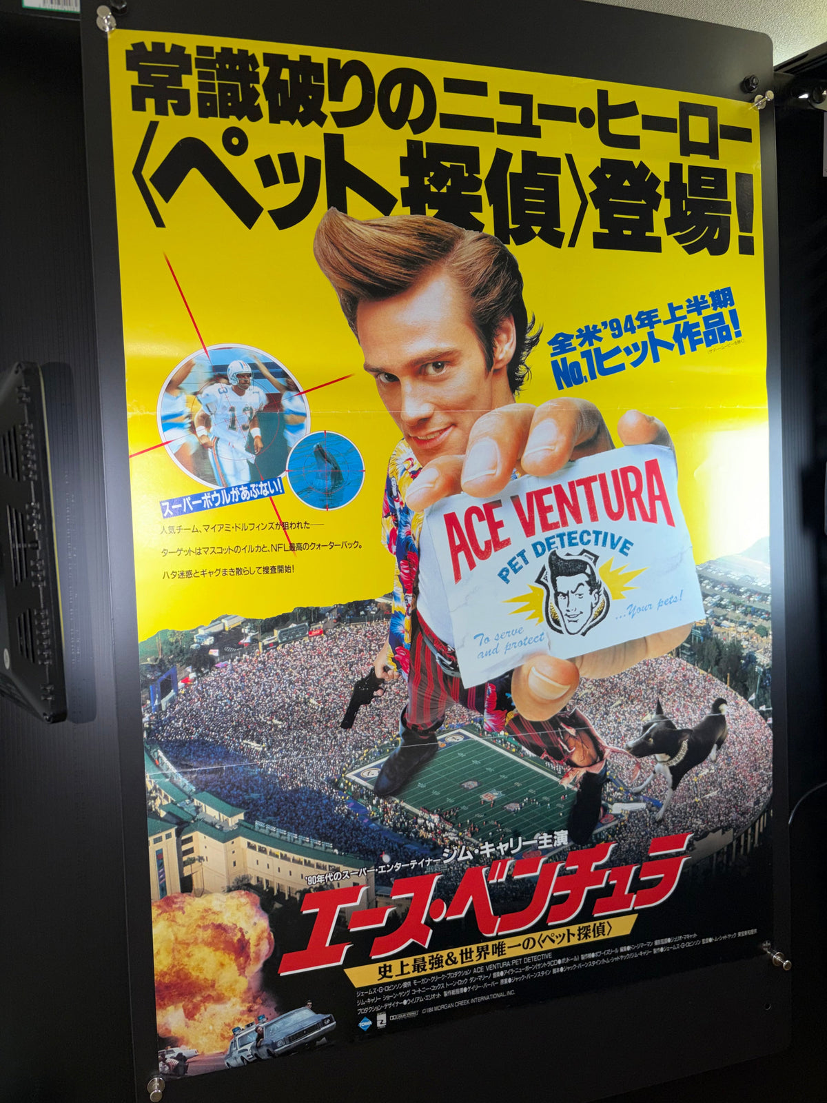 Ace Ventura: Pet Detective (1994) Original Japanese B2 Poster - Condition detail 12
