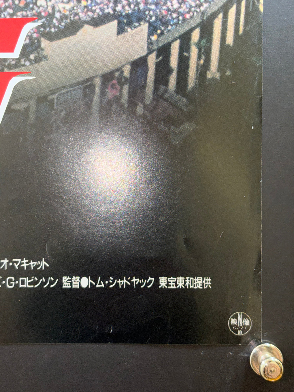 Ace Ventura: Pet Detective (1994) Original Japanese B2 Poster - Condition detail 4