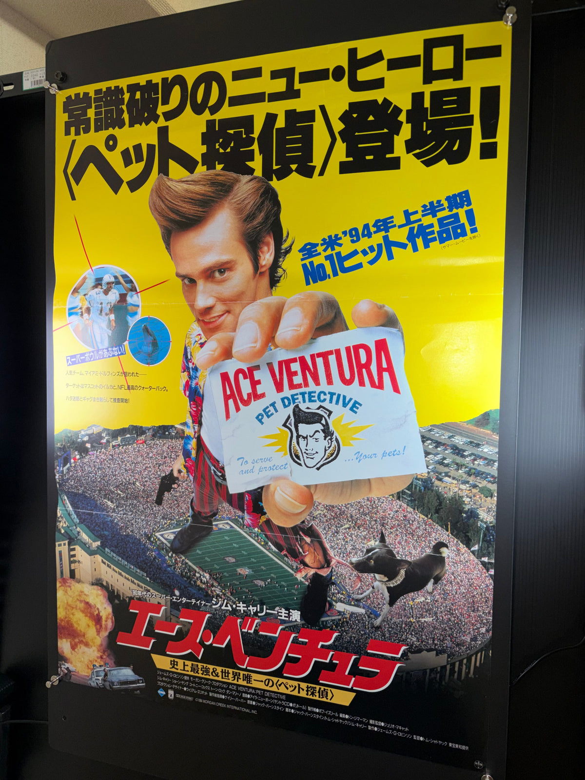Ace Ventura: Pet Detective (1994) Original Japanese B2 Poster - Condition detail 11