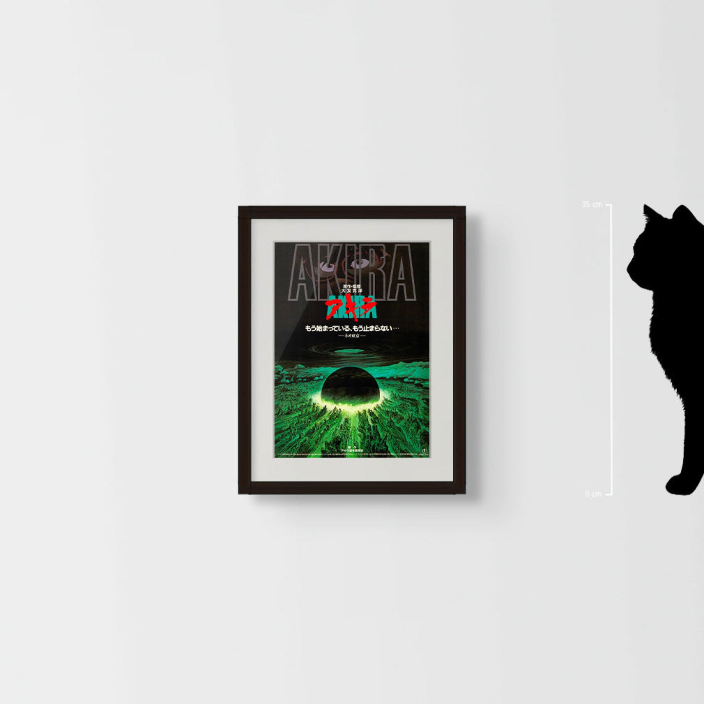 Akira (Original Japanese release 1988 B5 18x25cm)