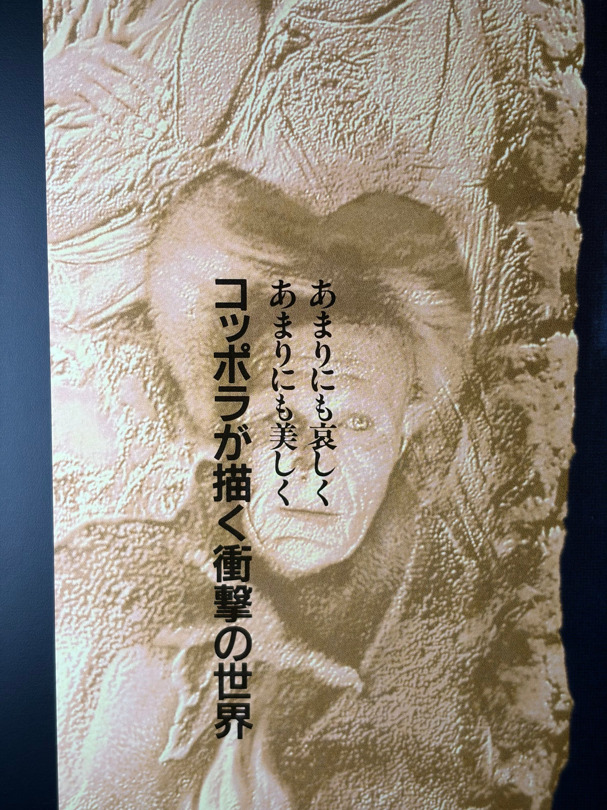 Bram Stoker's Dracula (1992) Original Japanese B2 Poster - Condition detail 6