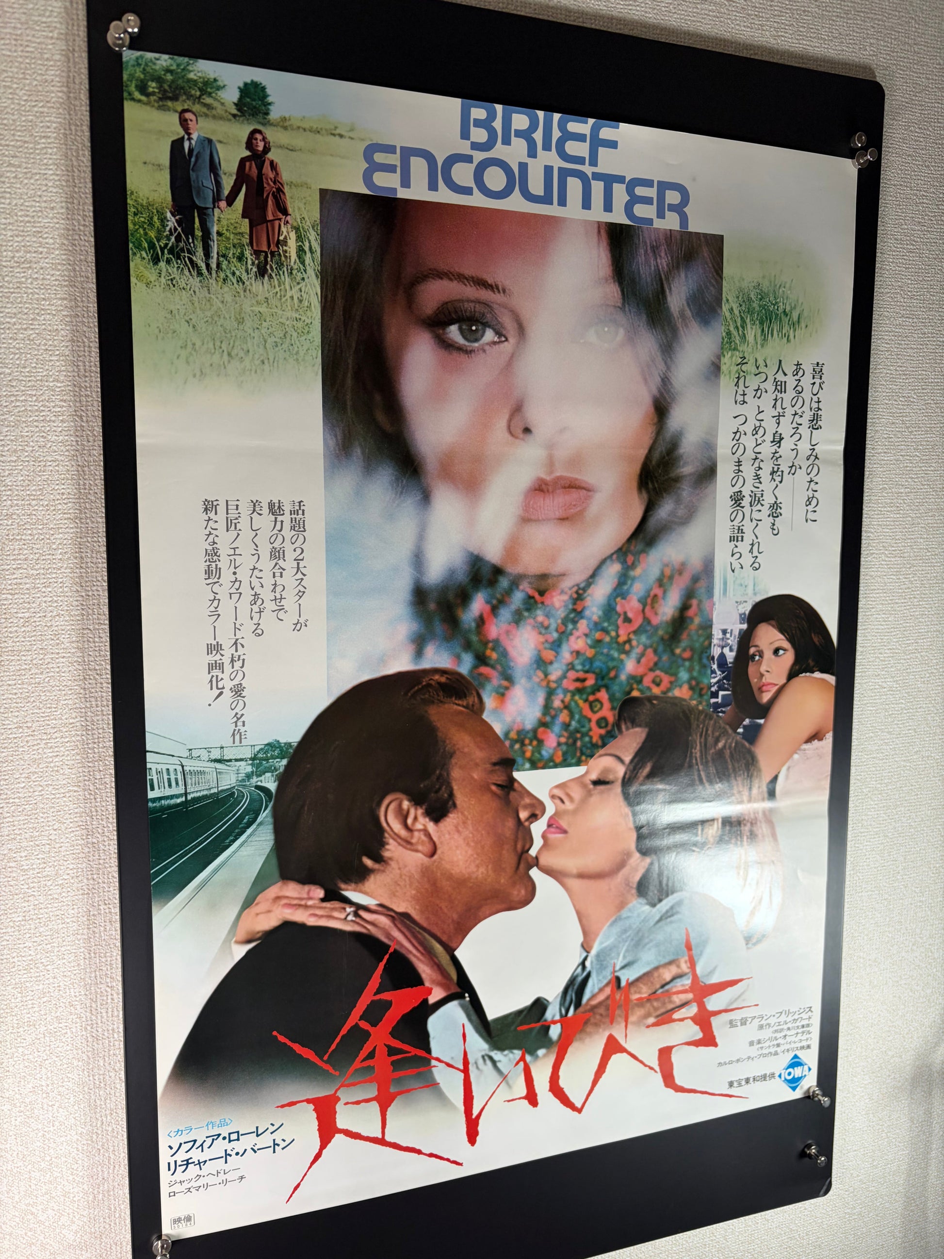 Brief Encounter (1974) Original Japanese B2 Poster - Condition detail 7