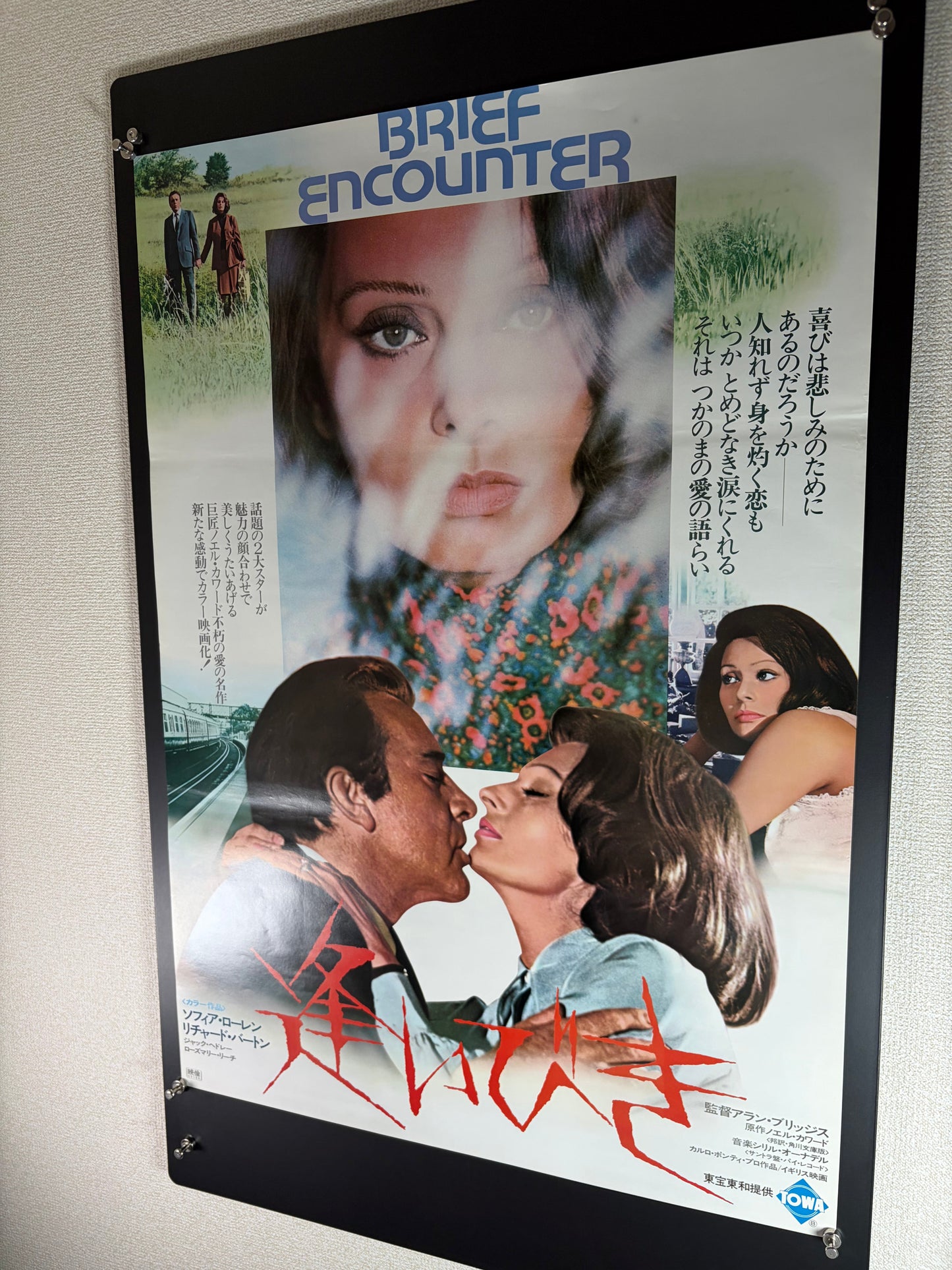 Brief Encounter (1974) Original Japanese B2 Poster - Condition detail 6
