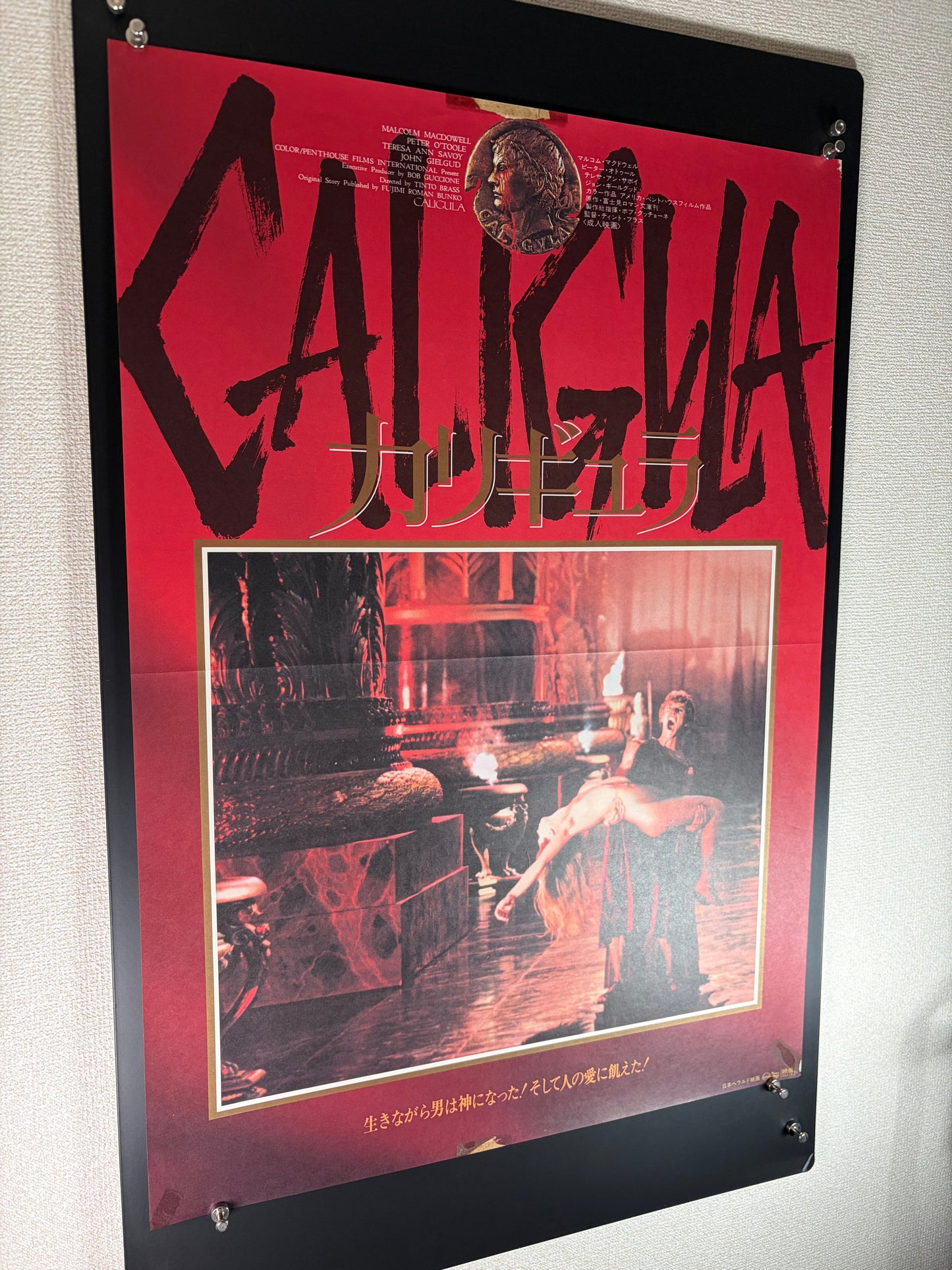 Caligula (1980) Original Japanese B2 Poster - Style B - Condition detail 11