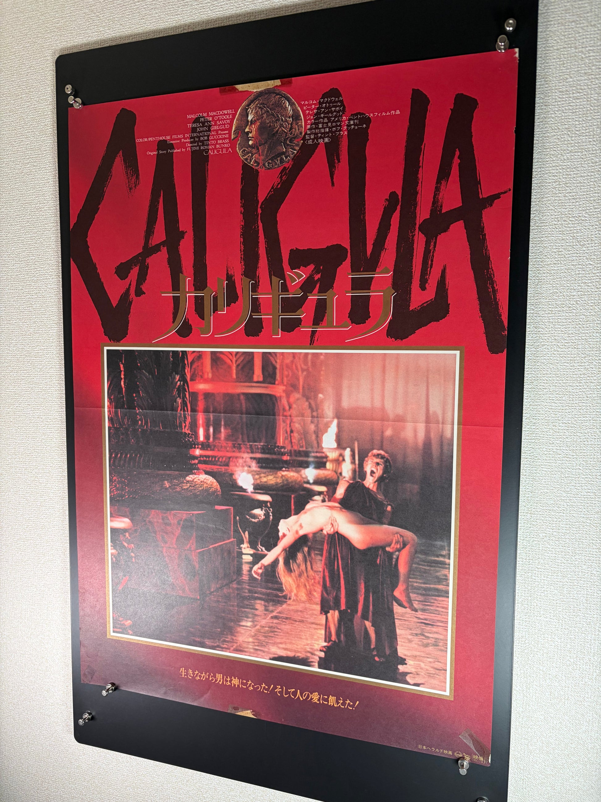 Caligula (1980) Original Japanese B2 Poster - Style B - Condition detail 10
