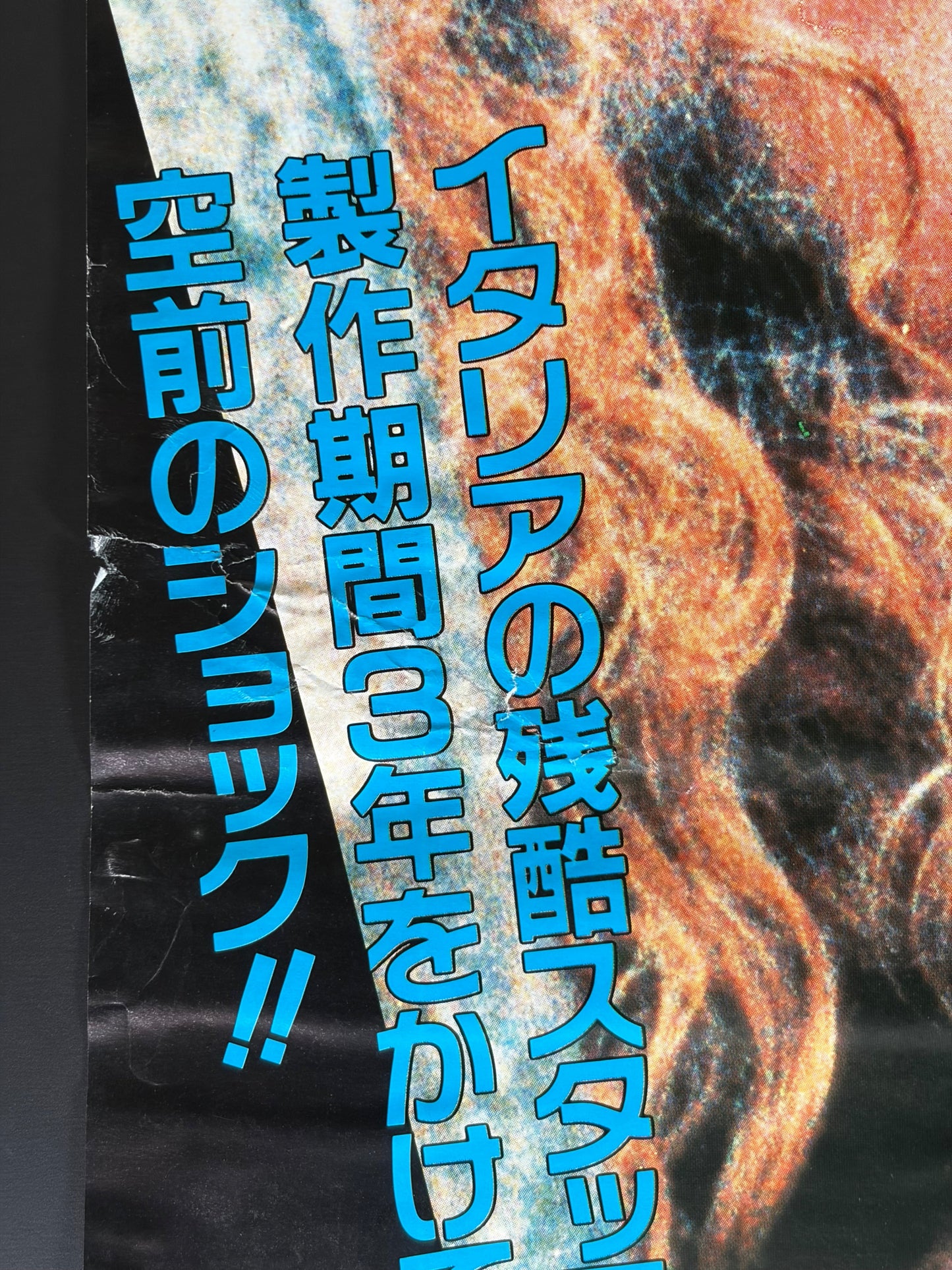 Cannibal Ferox (1981) Original Japanese B2 Poster - Condition detail 5