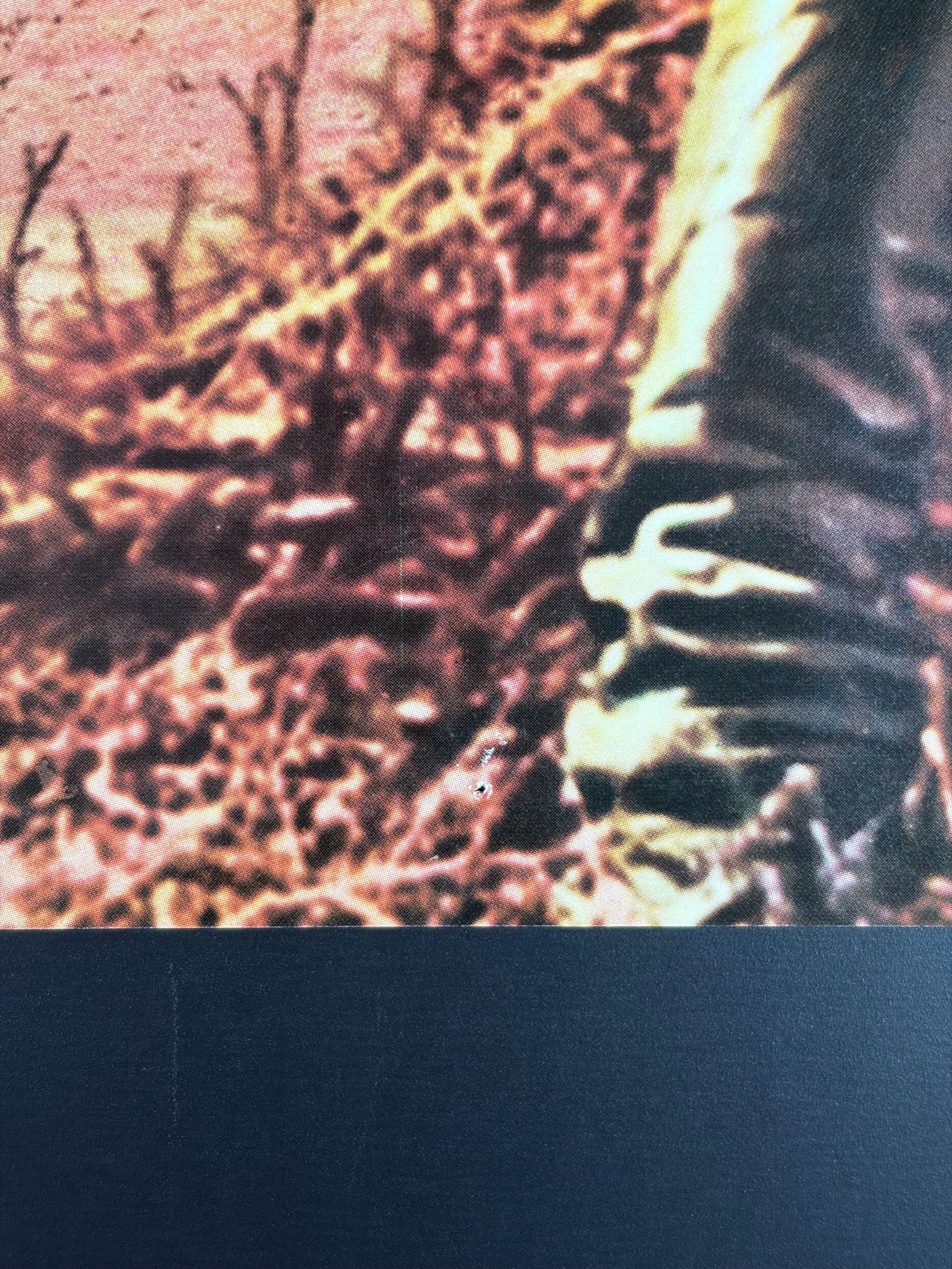 Cheyenne Autumn (1964) Original Japanese B2 Poster - Condition detail 5