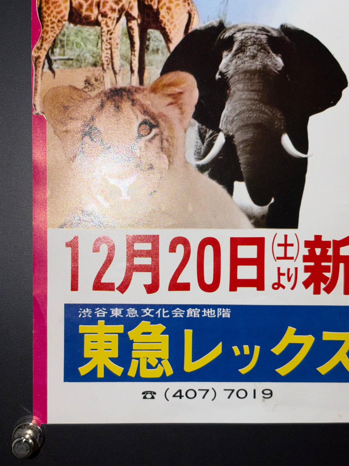 Doc Savage: The Man of Bronze (1975) Original Japanese B2 Poster - Triple Bill - Condition detail 6