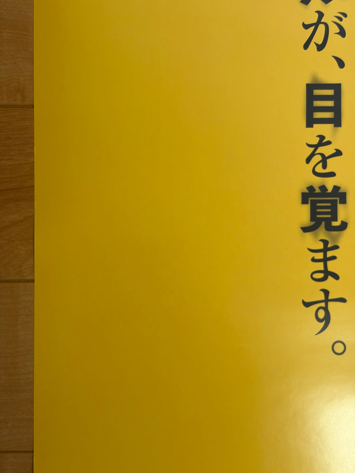 Doctor Sleep (2019) Original Japanese B1 Poster - Condition detail 5