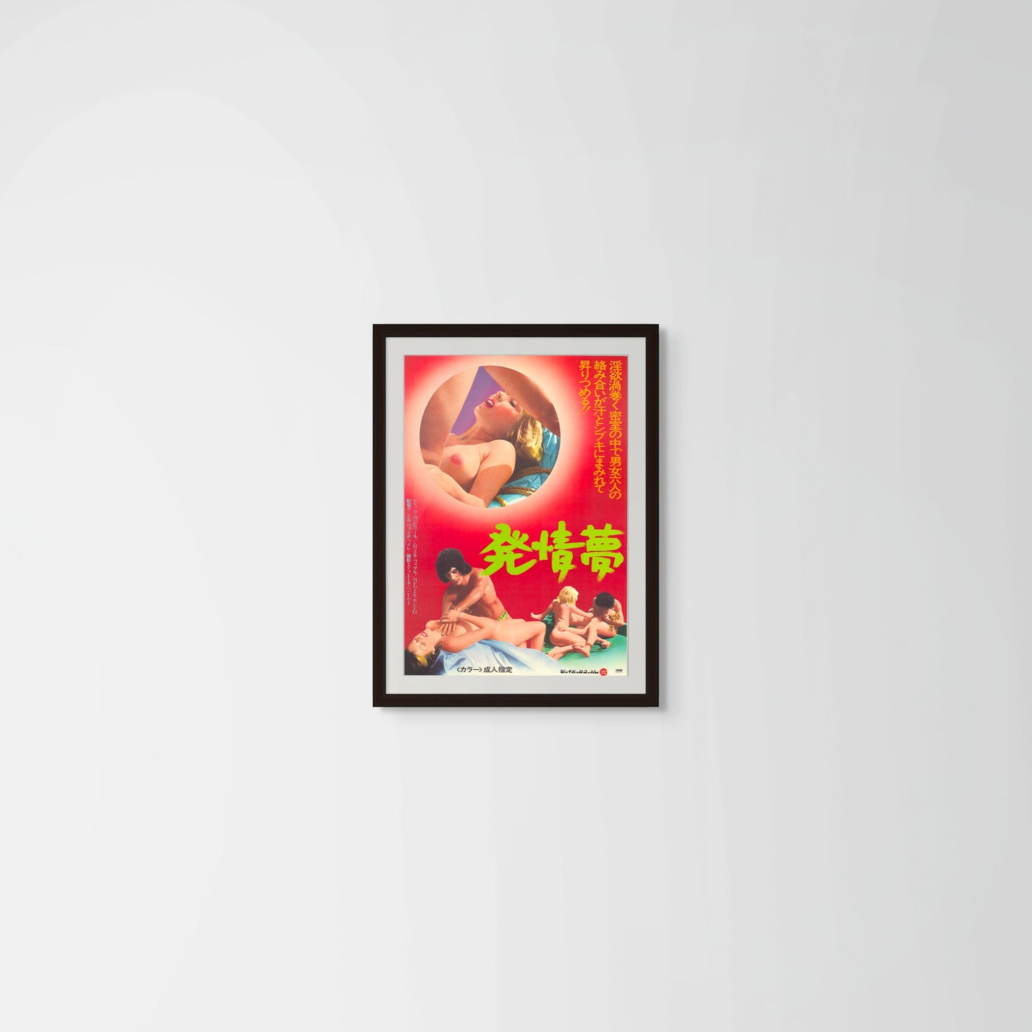 Erotic Dream (Original Japanese release 1976 B2 51x73cm) Vintage posters