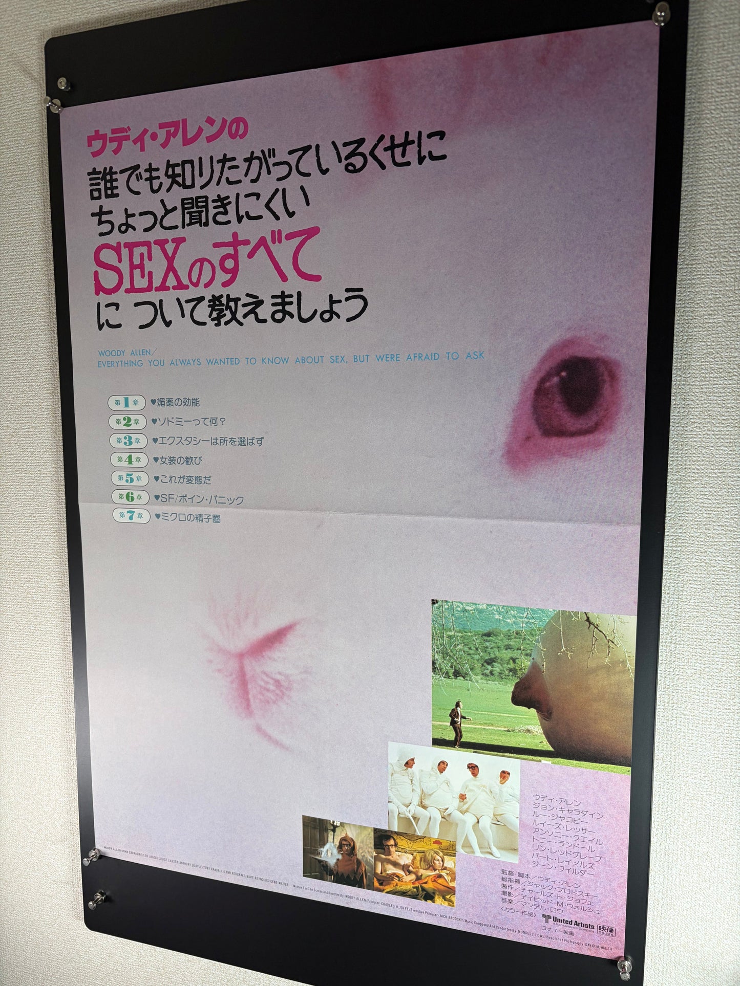 Everything You Always Wanted to Know About Sex But Were Afraid to Ask (1972) Original Japanese B2 Poster - Condition detail 2