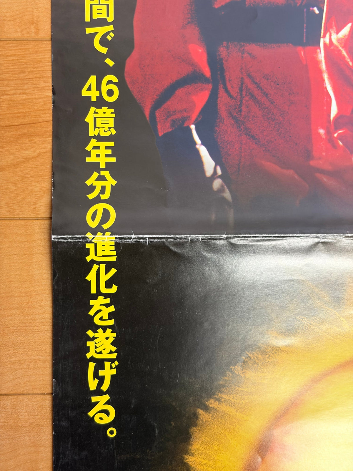 Evolution (2001) Original Japanese B1 Poster - Condition detail 9