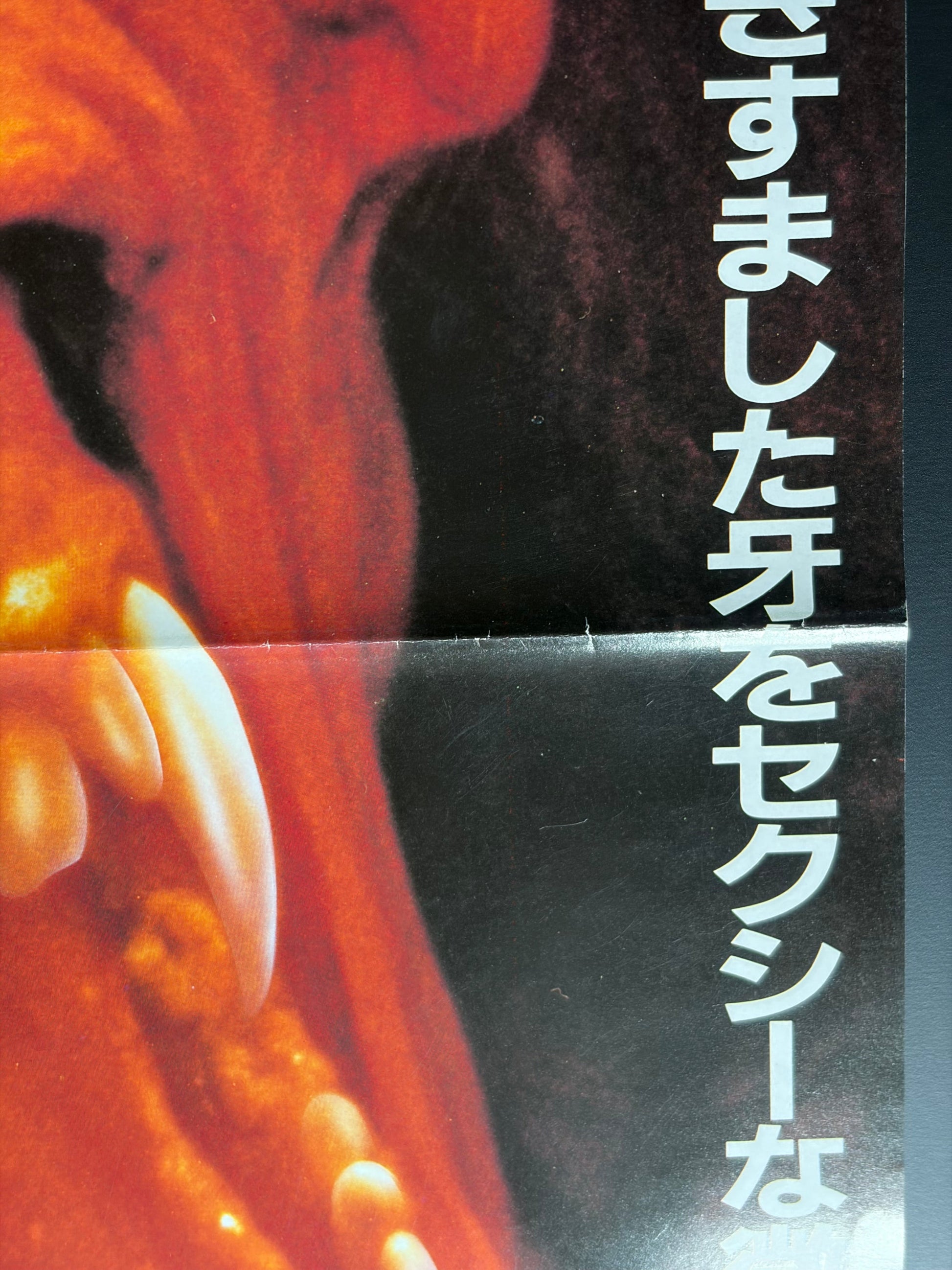 Fright Night Part 2 (1988) Original Japanese B2 Poster - Condition detail 2