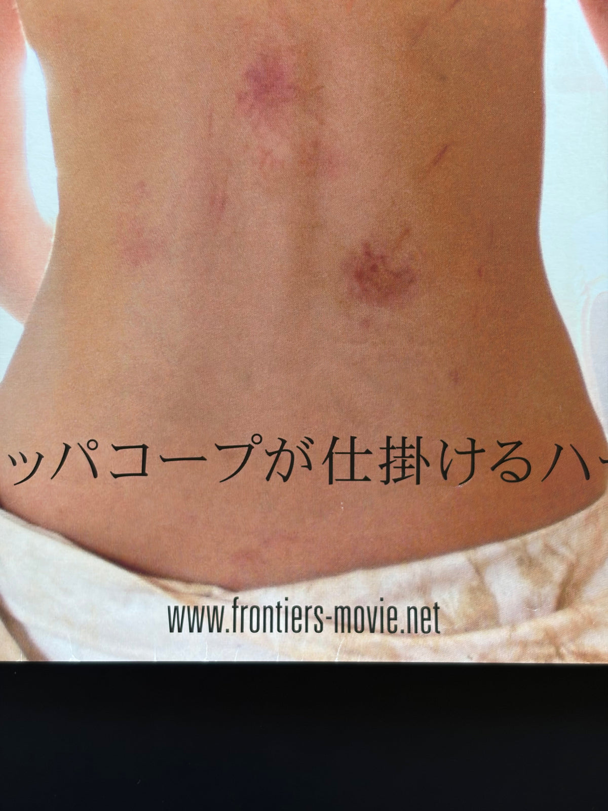 Frontier(s) (2008) Original Japanese B2 Poster - Condition detail 3