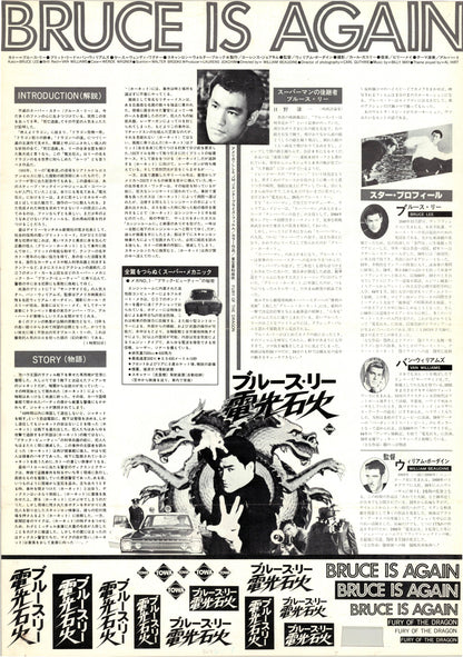 Fury of the Dragon (Original Japanese release 1976 B3 36x51cm) Vintage posters