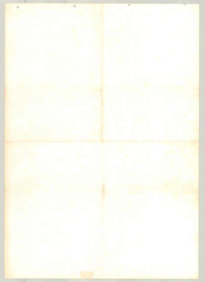 Grand Theft Auto (1980) Original Japanese Poster B2 Vintage posters