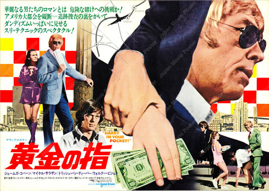 Harry In Your Pocket (Original Japanese release 1973 B3 36x51cm) Vintage posters
