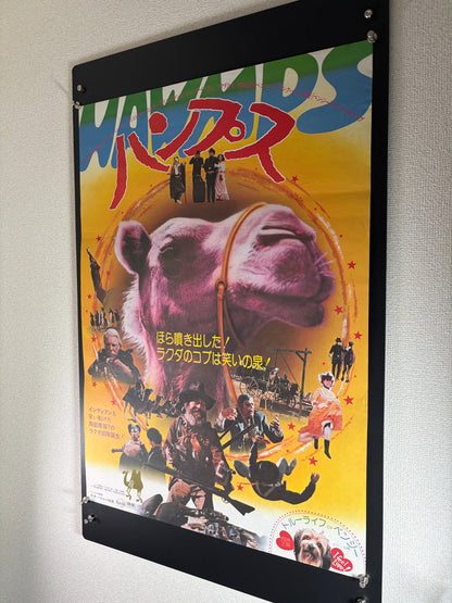 Hawmps! (1977) Original Japanese B2 Poster - Condition detail 6