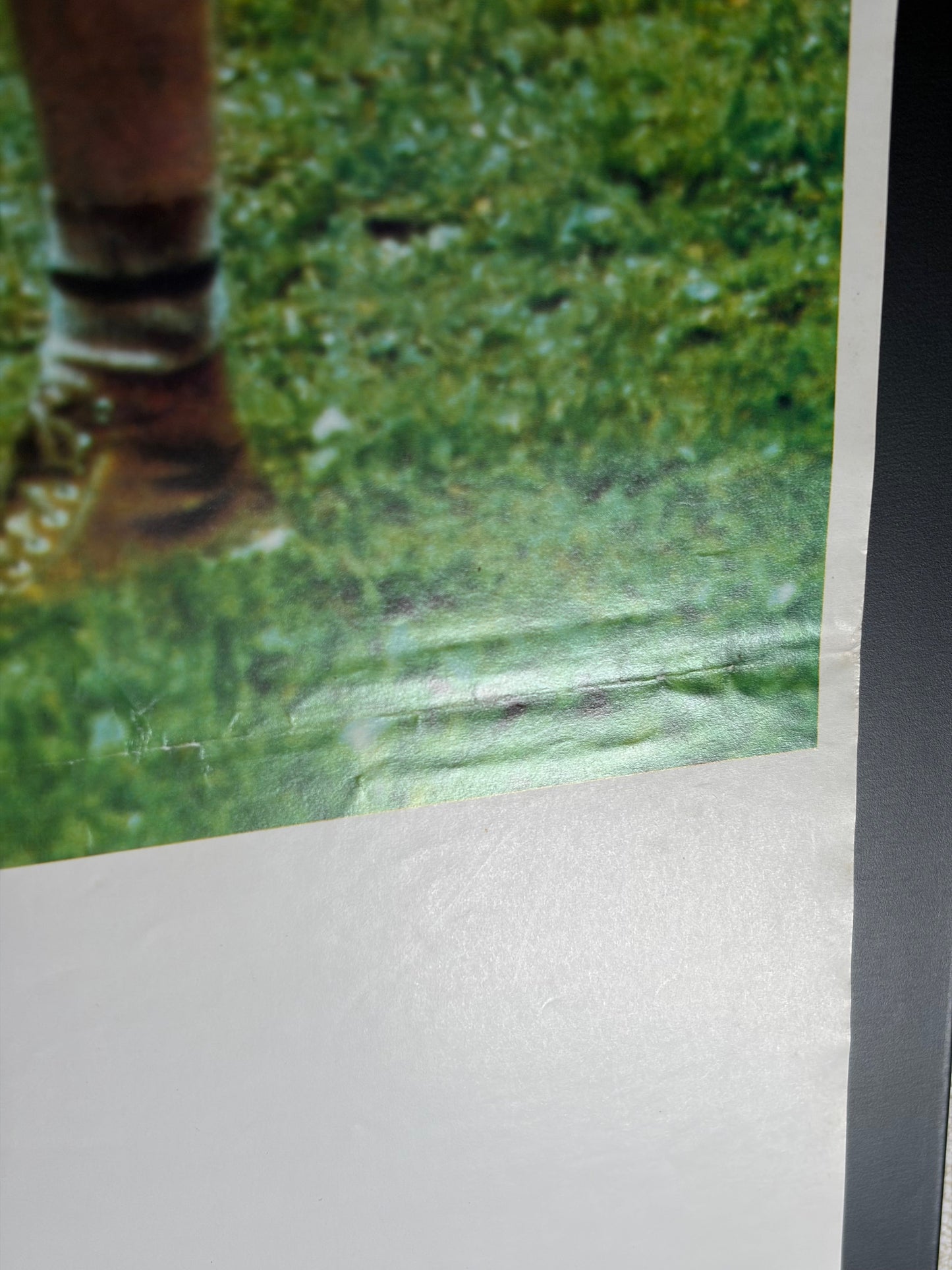 Julia (1975) Original Japanese B2 Poster - Condition detail 2