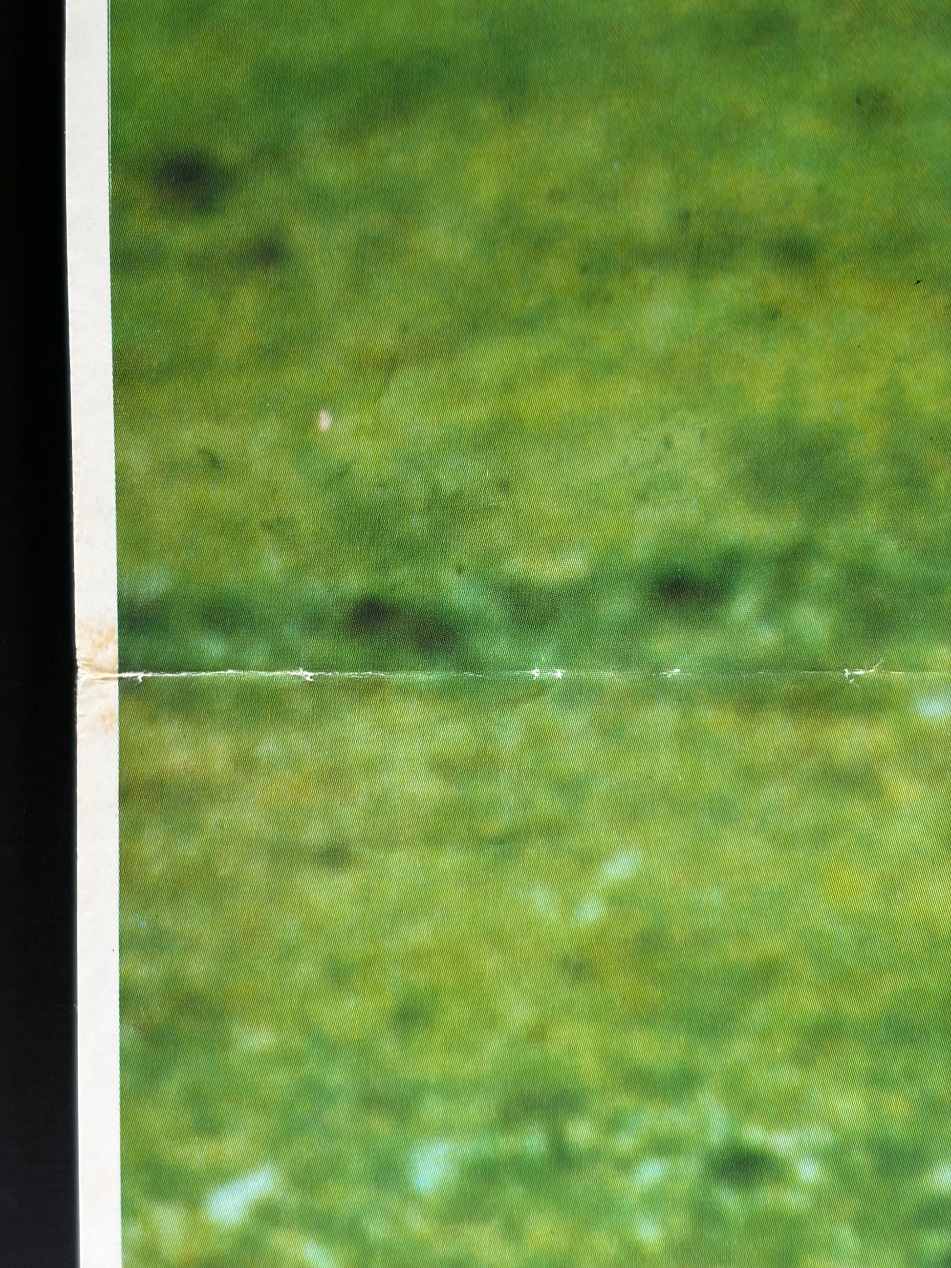 Julia (1975) Original Japanese B2 Poster - Condition detail 5