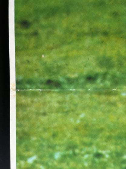 Julia (1975) Original Japanese B2 Poster - Condition detail 5