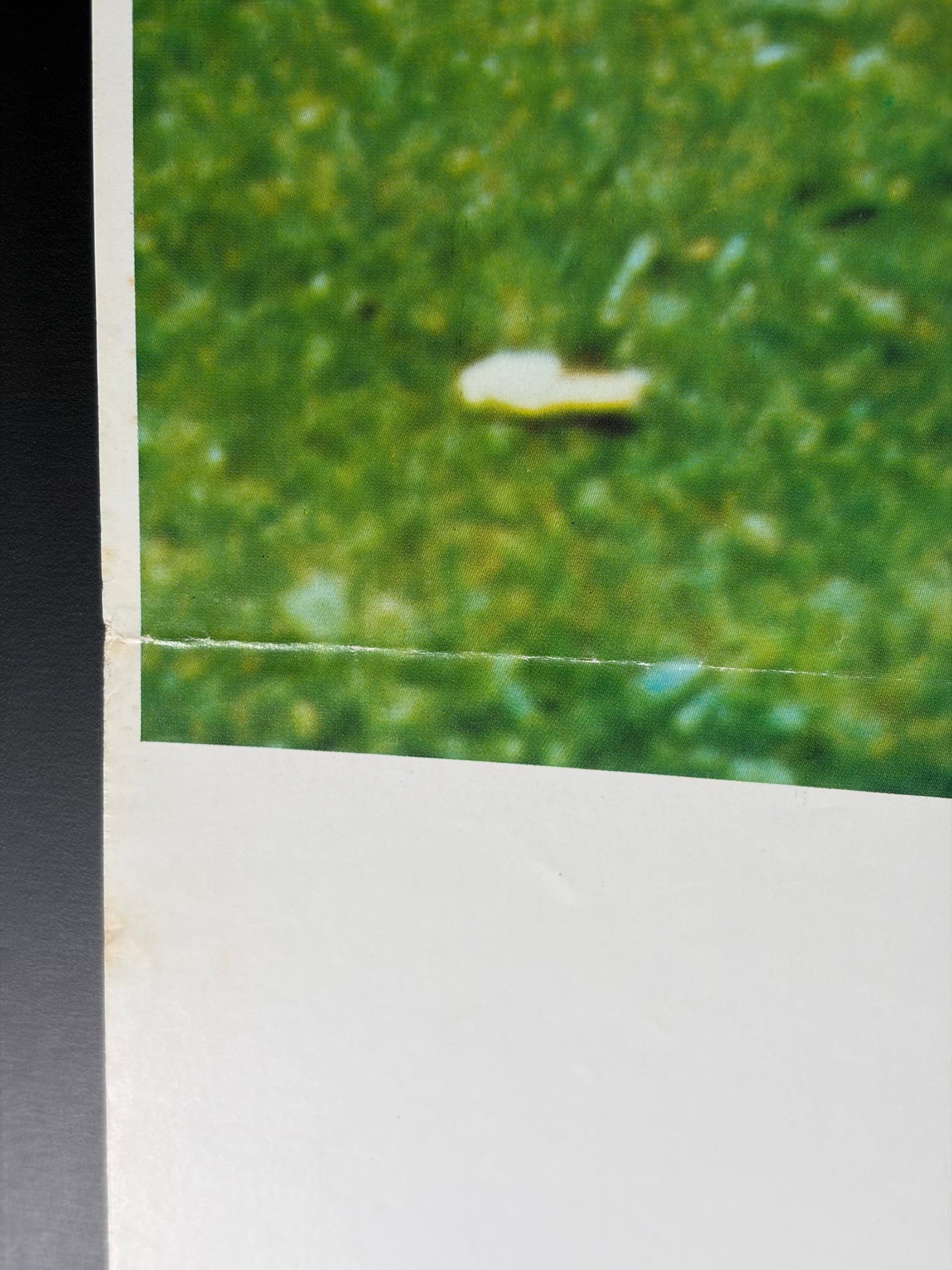 Julia (1975) Original Japanese B2 Poster - Condition detail 4
