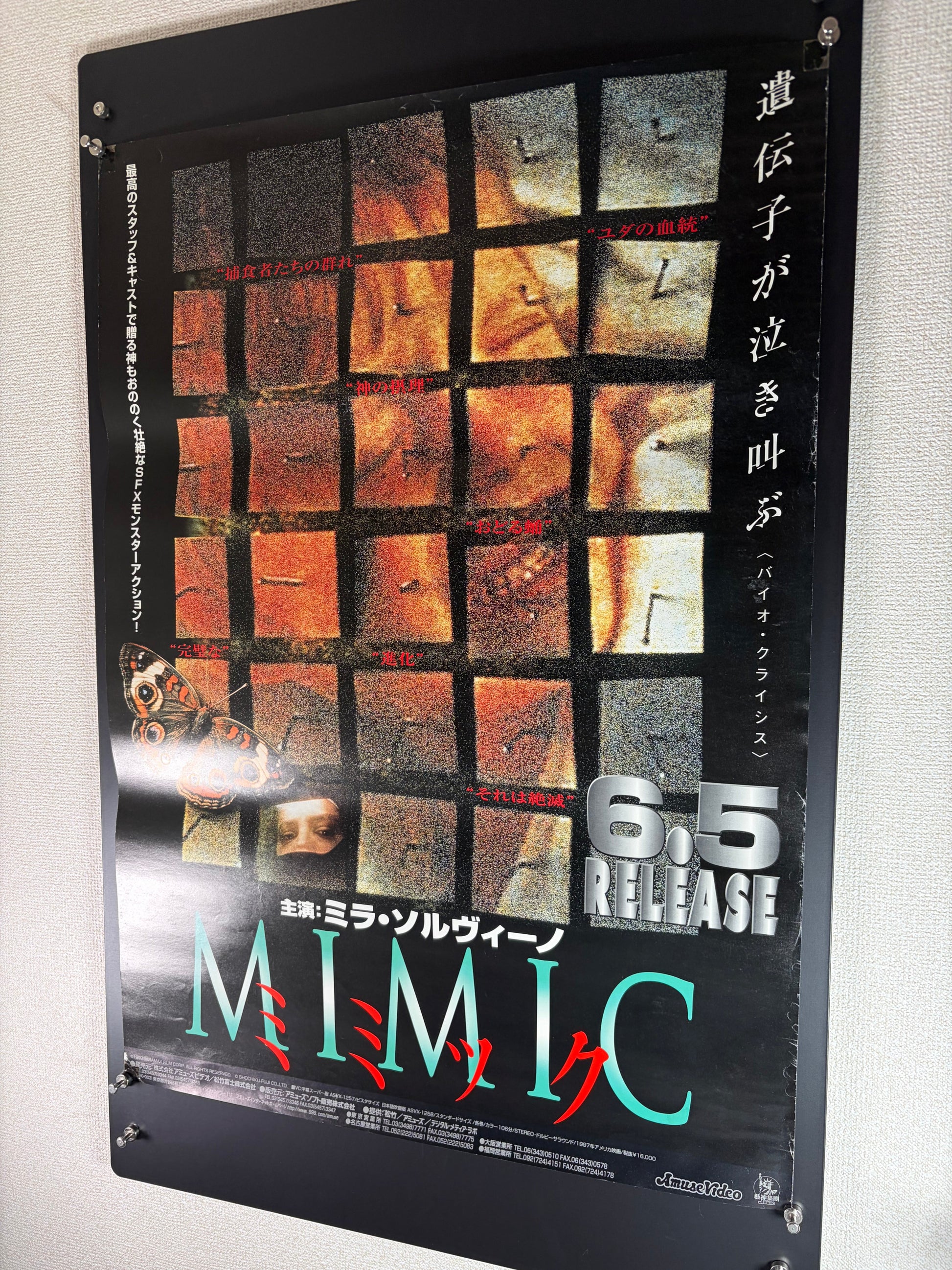 Mimic (1997) Original Japanese B2 Poster - Condition detail 6
