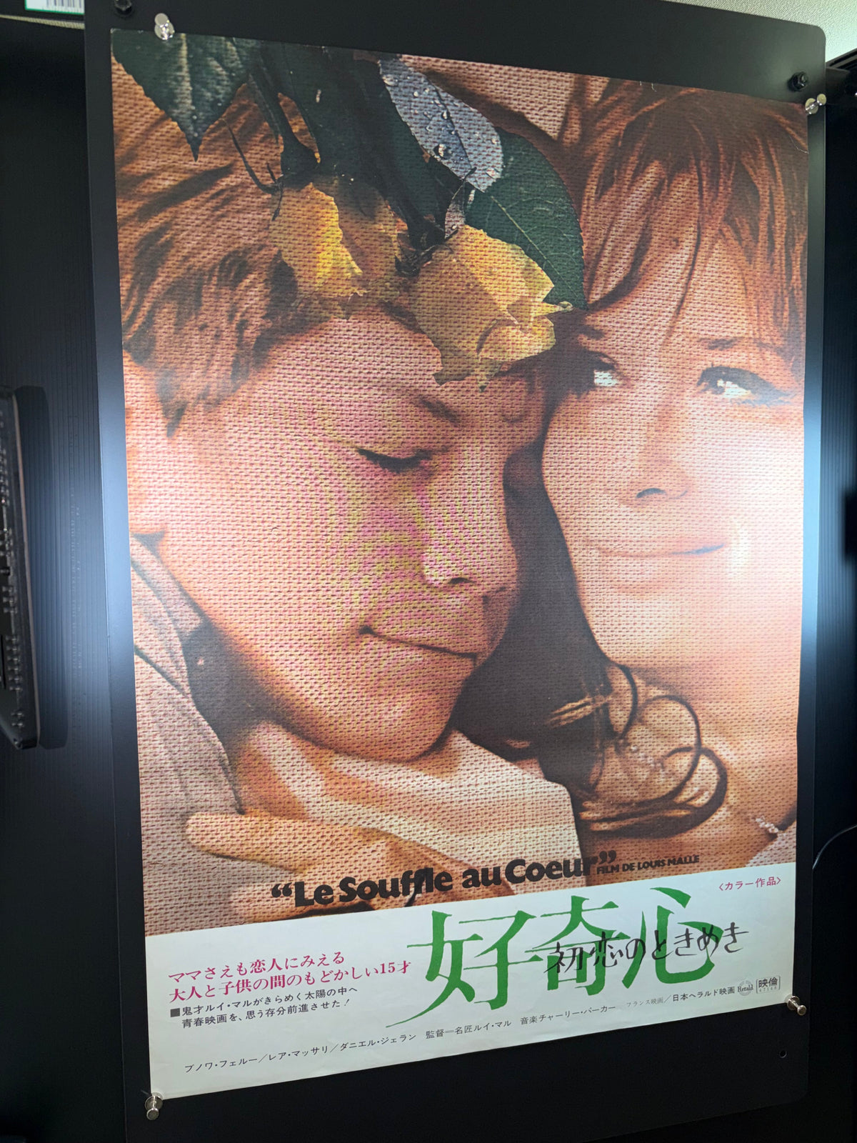 Murmur of the Heart (1972) Original Japanese B2 Poster - Condition detail 9