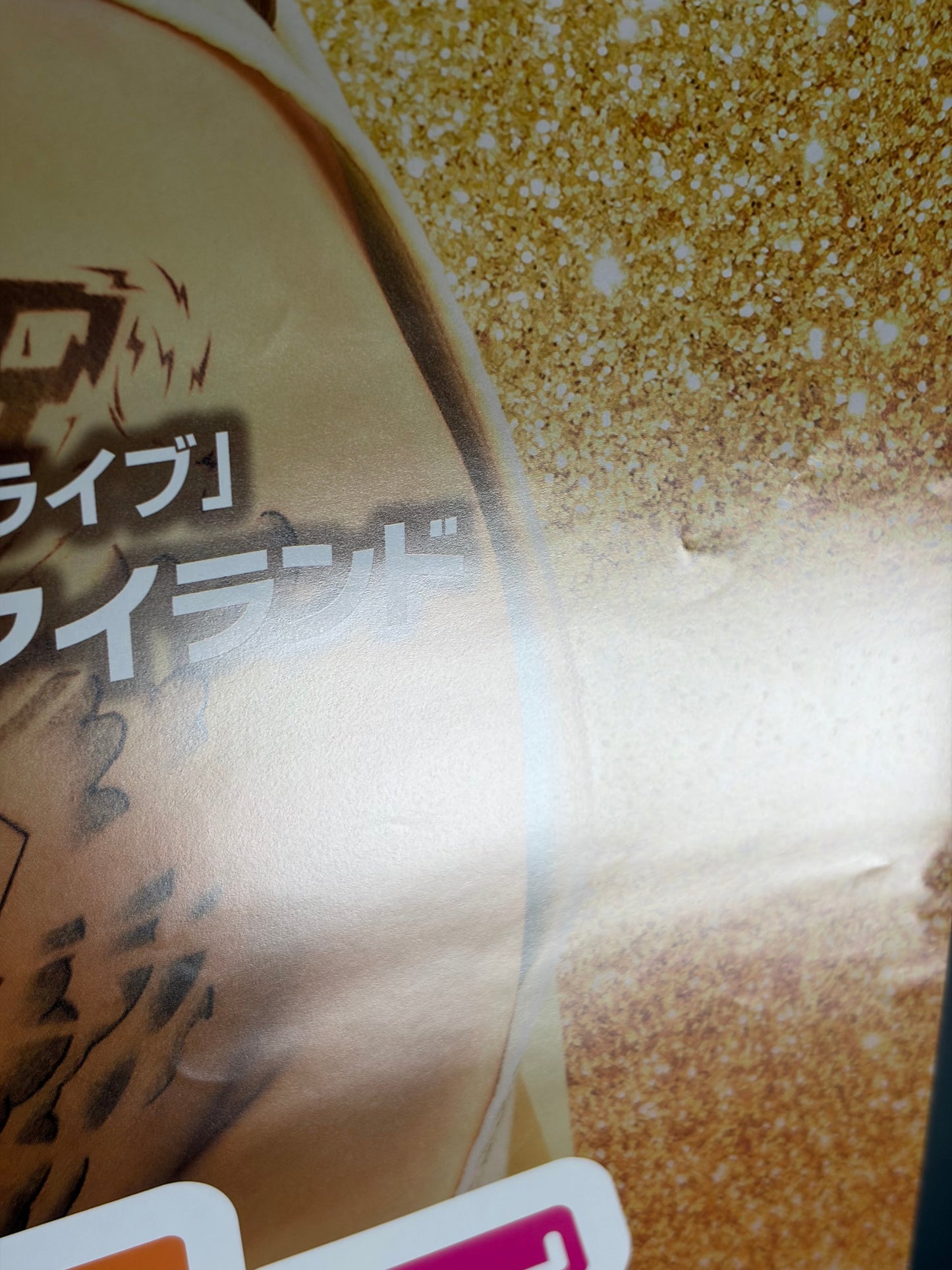 Popstar: Never Stop Never Stopping (2016) Original Japanese B2 Poster - Condition detail 5