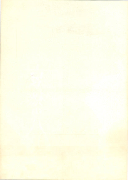 The Sorrow of Paris (Original Japanese release, 1976, B3, 36x51cm)