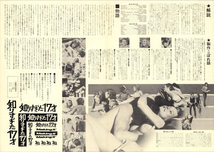 Making It (Original Japanese release, 1971, B3, 36x51cm)