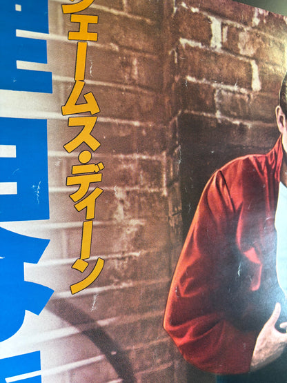 Rebel Without a Cause (1955) Original Japanese B2 Poster - James Dean Anniversary 1978 - Condition detail 7