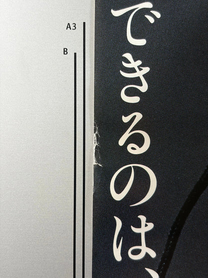 Reversal of Fortune (1990) Original Japanese B2 Poster - Vintage posters