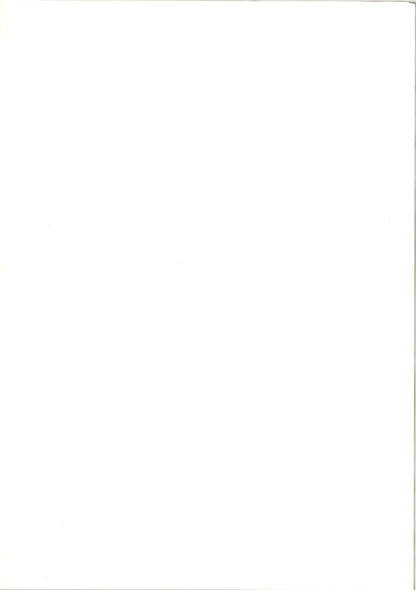 Spirited Away (Original Japanese release 2001 B2 51x73cm) Vintage posters