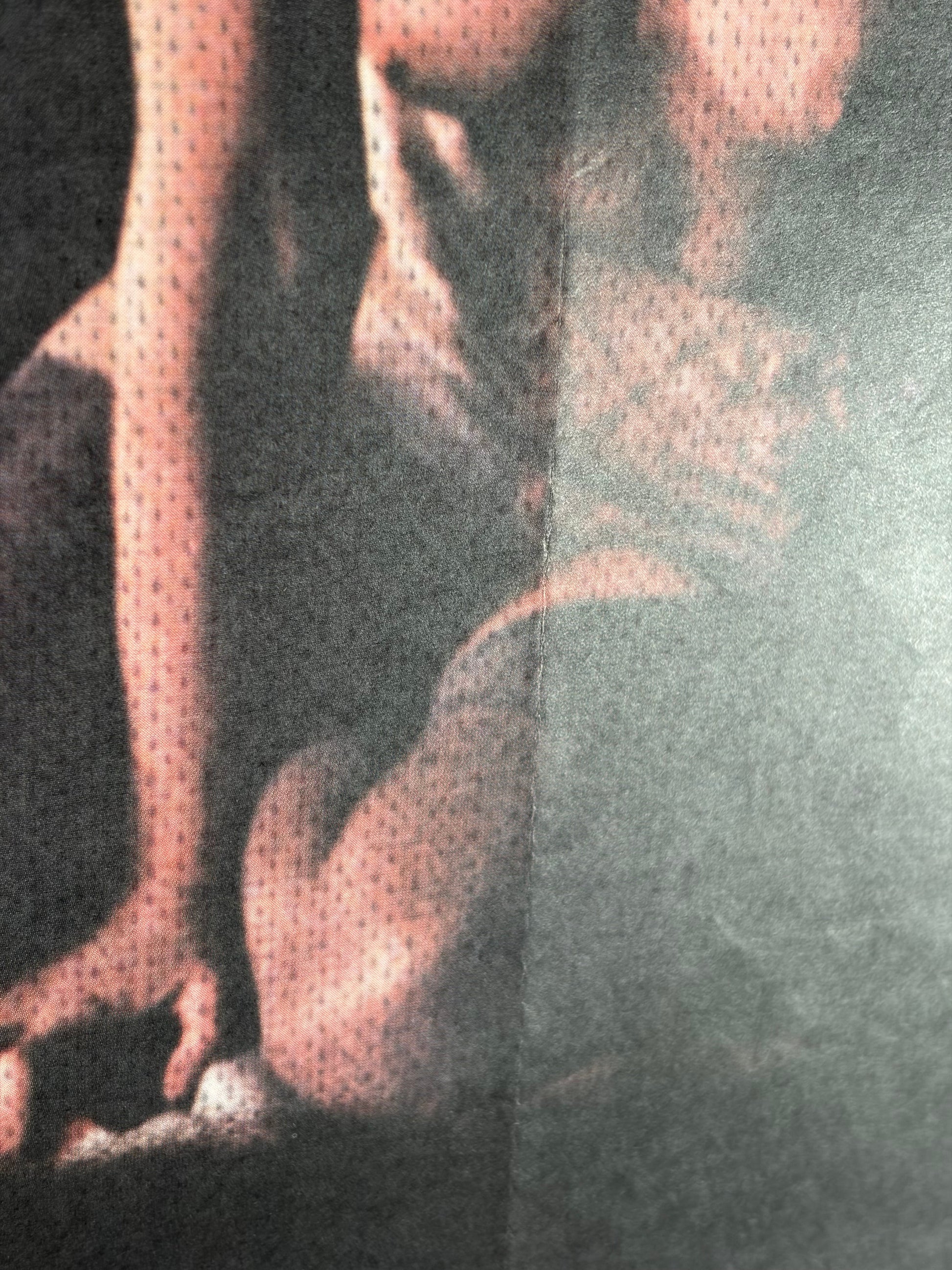 Submission (1976) Original Japanese B2 Poster - Condition detail 6