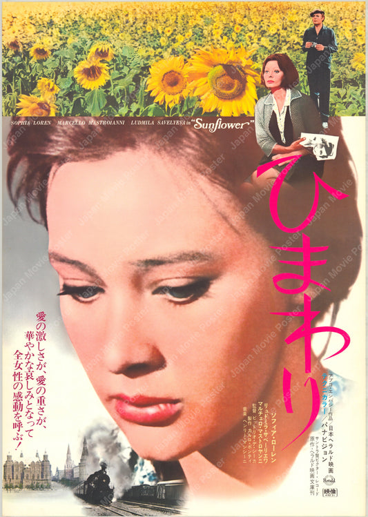 Sunflower (1974) Original Japanese Poster B2 - Revival Vintage posters