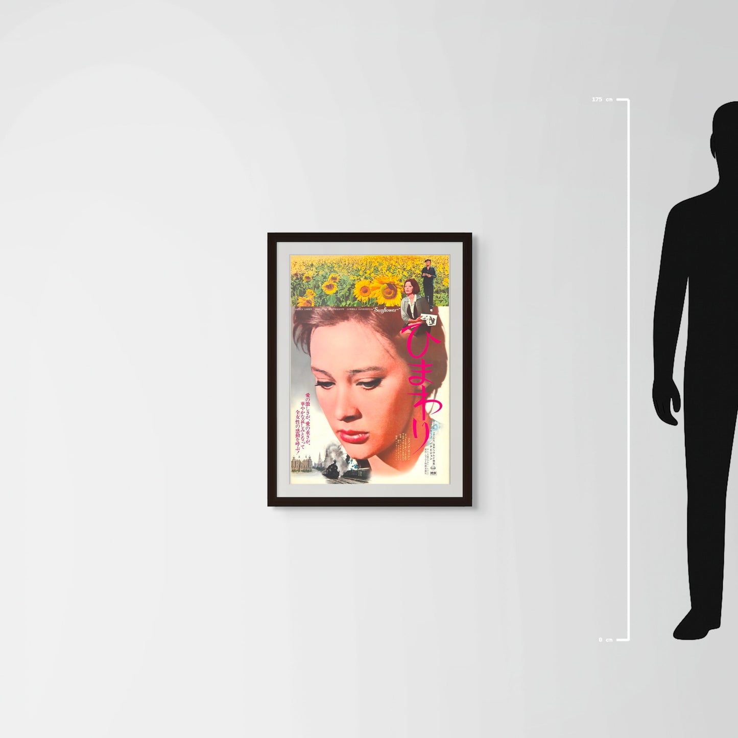 Sunflower (1974) Original Japanese Poster B2 - Revival Vintage posters