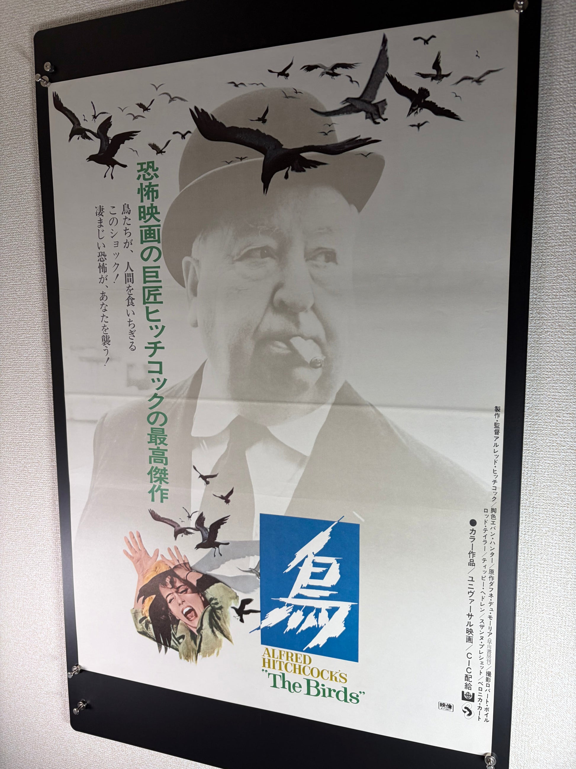 The Birds (1963) Original Japanese B2 Poster - 1972 Re-release - Condition detail 3