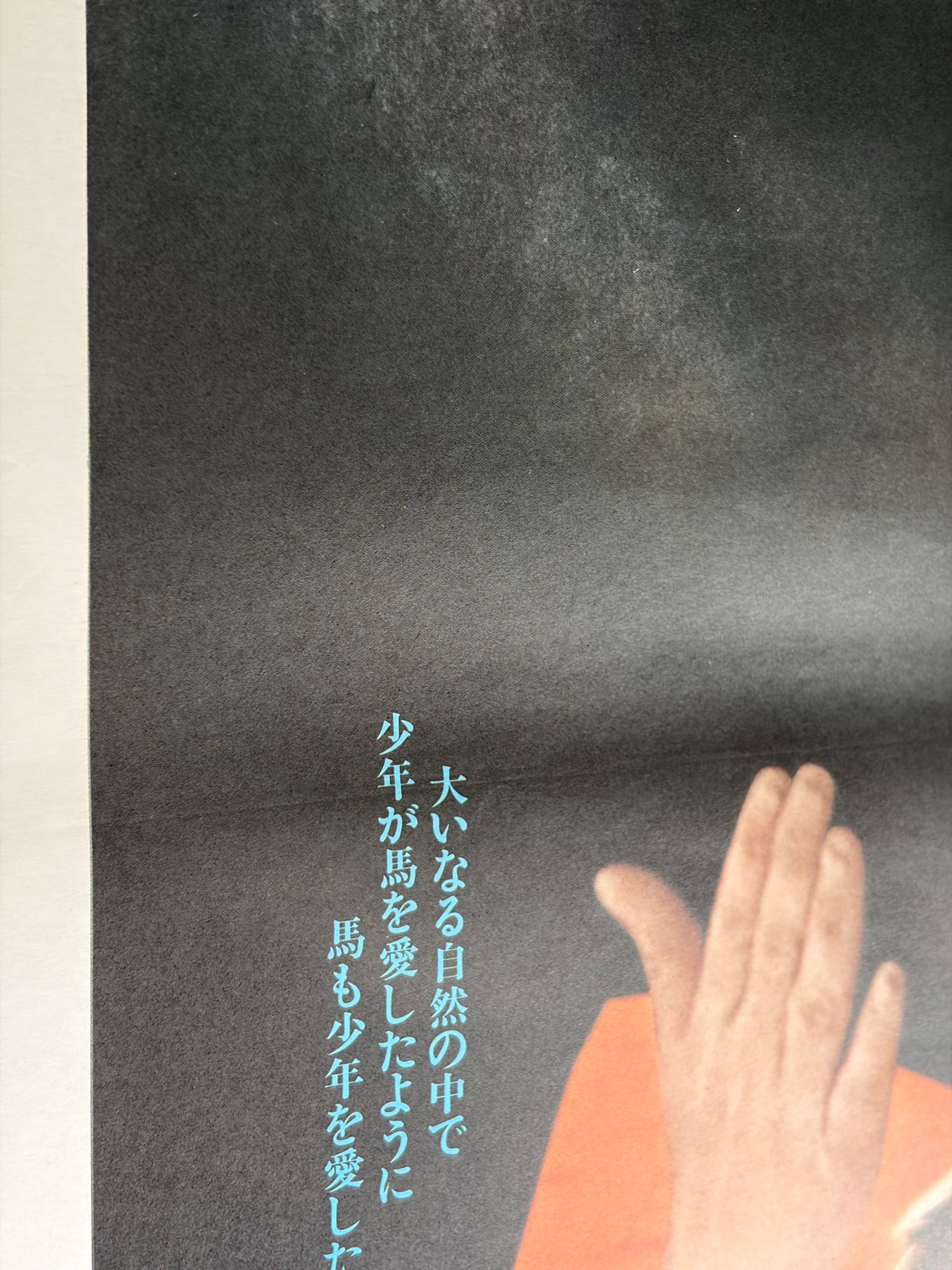 The Black Stallion (1979) Original Japanese B2 Poster - Condition detail 6