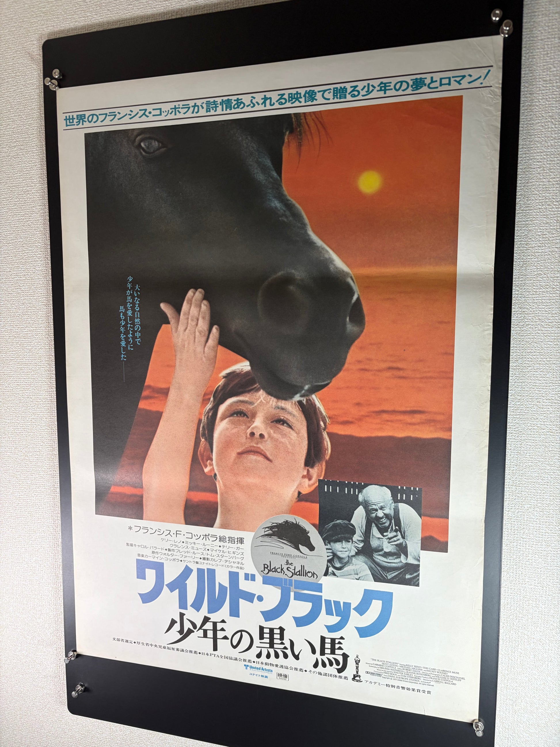 The Black Stallion (1979) Original Japanese B2 Poster - Condition detail 7