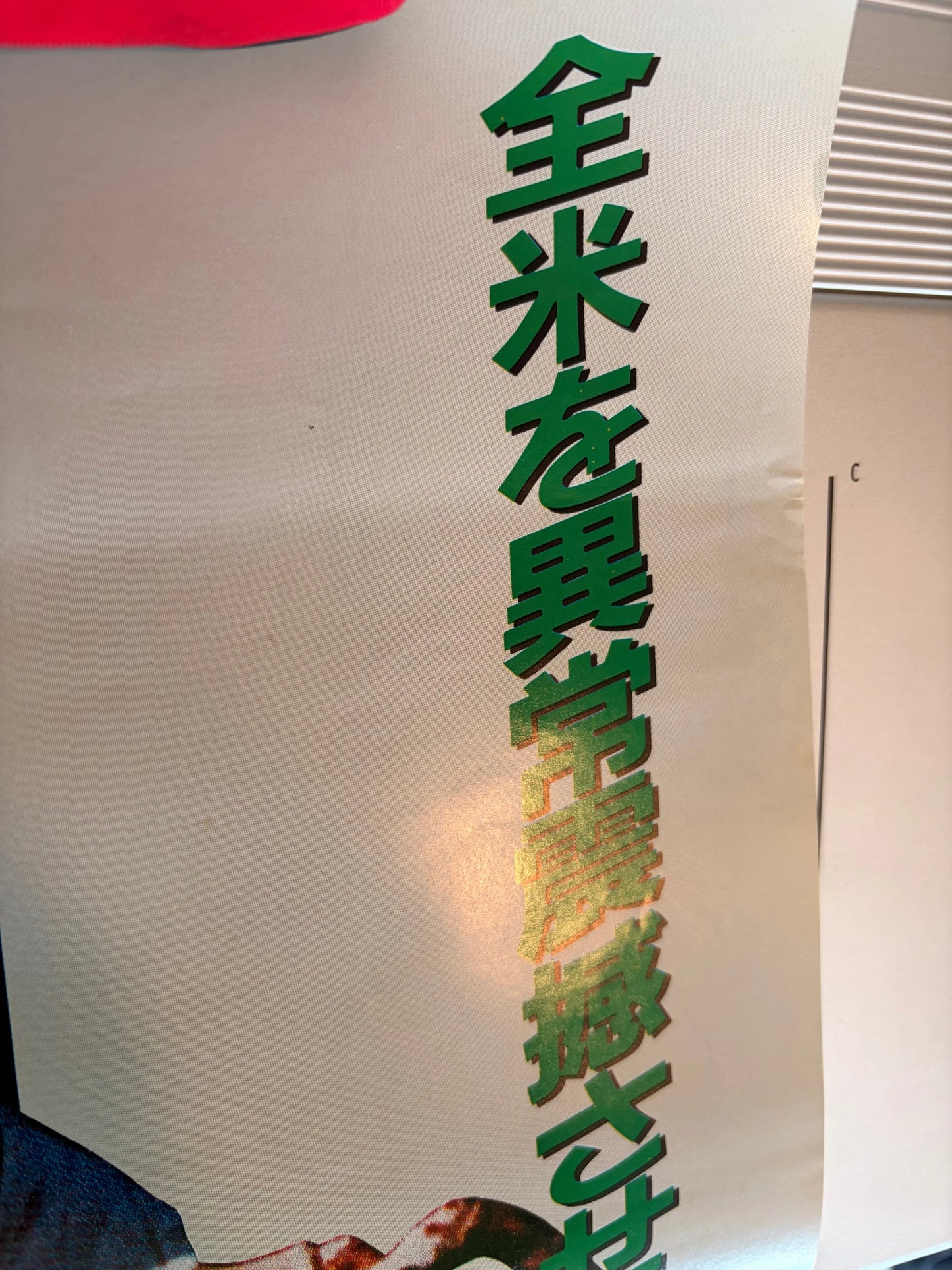 The Evil Dead (Original Japanese release 1985 B2 51x73cm) Vintage posters